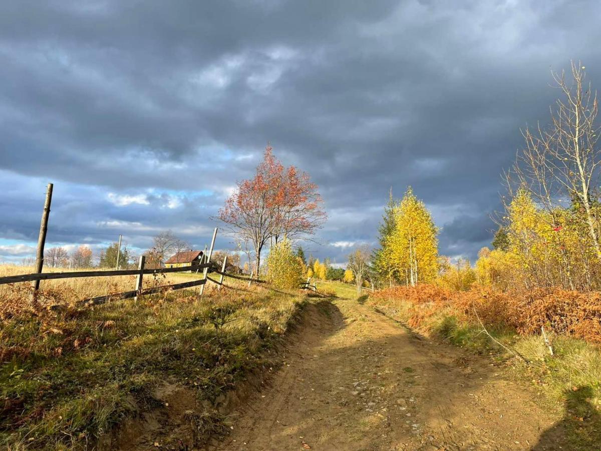 Villa M Mykulychyn Eksteriør billede